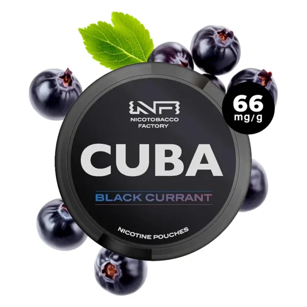cuba black currant strong